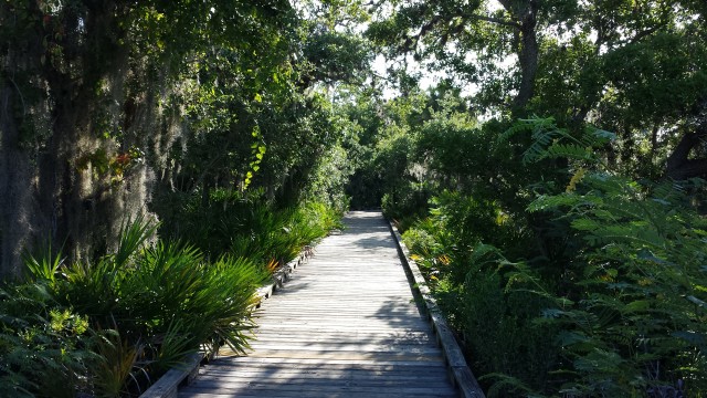 I took this at Millennium Park, near where I grew up, but it might be anywhere where Florida is just let alone to be Florida