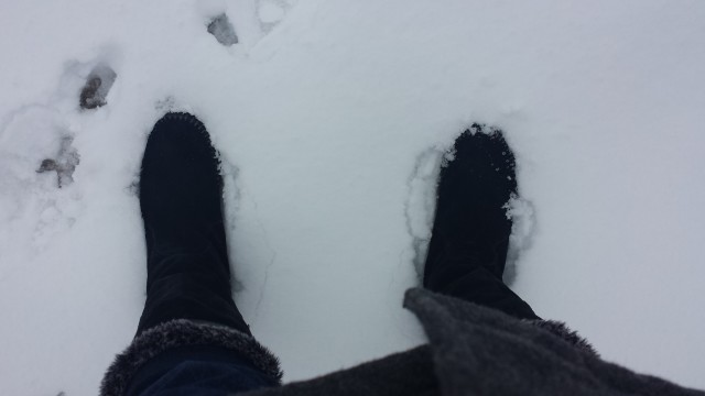 We got at least 6 inches!
