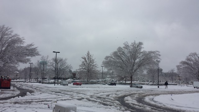 Harris Teeter parking lot: a winter wonderland