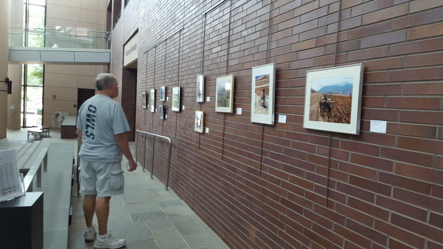 Checking out the exhibit in town hall