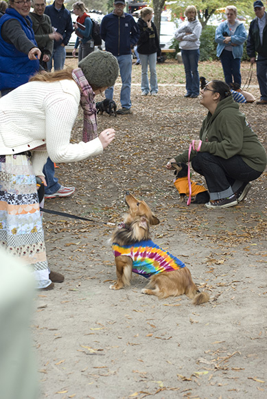 WeinerDogDay2009-10