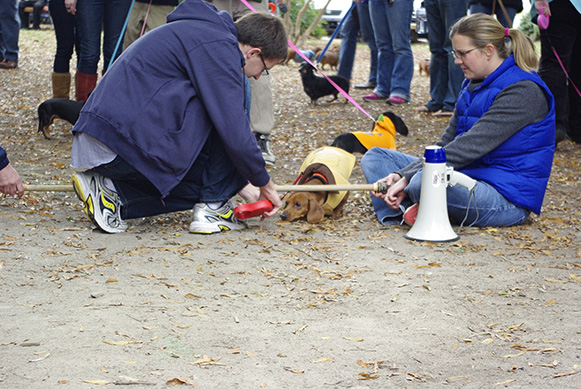 WeinerDogDay2009-65