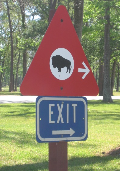 Granted, it's a confusing sign. Is it a buffalo or Jeremy Caves?