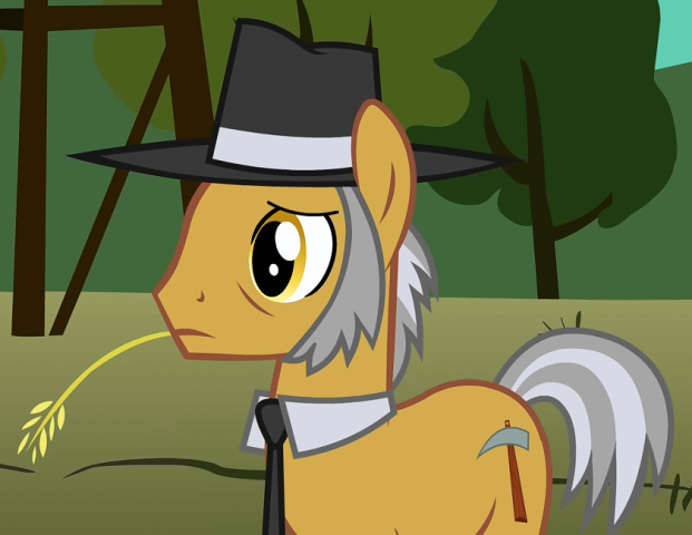 Igneous Rock: Pony Mennonite