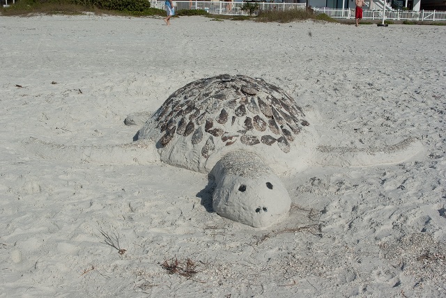 Sand turtle